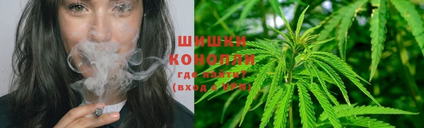 ПСИЛОЦИБИНОВЫЕ ГРИБЫ Зеленодольск