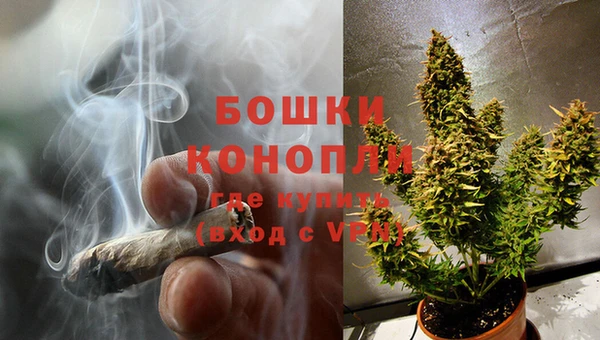 ПСИЛОЦИБИНОВЫЕ ГРИБЫ Зеленодольск