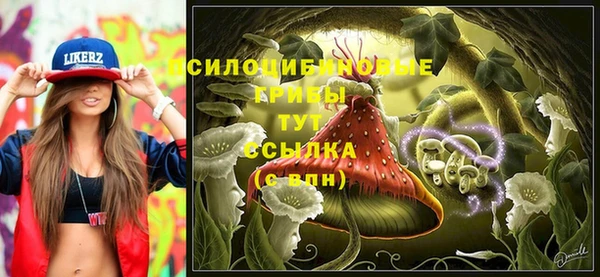 ПСИЛОЦИБИНОВЫЕ ГРИБЫ Зеленодольск