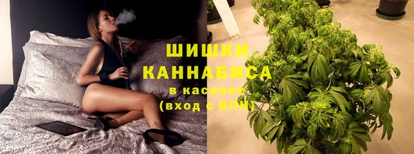 ПСИЛОЦИБИНОВЫЕ ГРИБЫ Зеленодольск