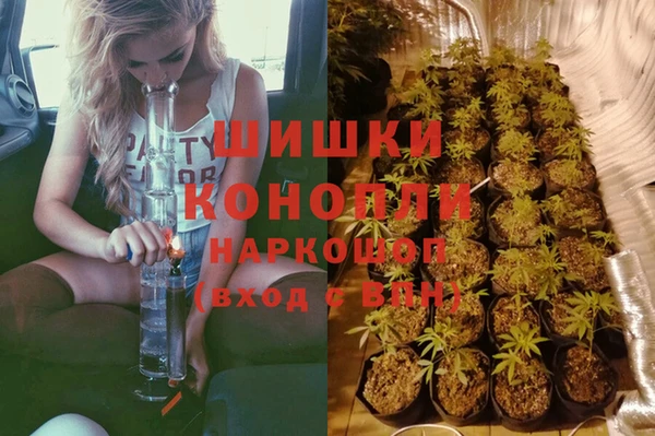 ПСИЛОЦИБИНОВЫЕ ГРИБЫ Зеленодольск