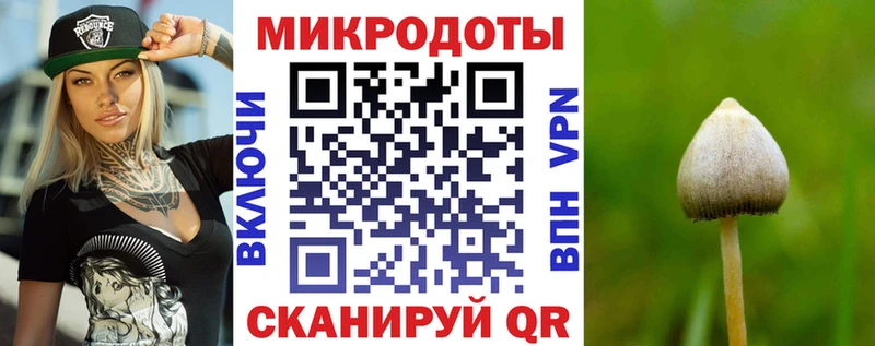 Купить где  Верхняя Пышма  Псилоцибиновые грибы Psilocybe 